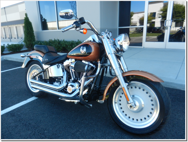 2008 harley fat boy